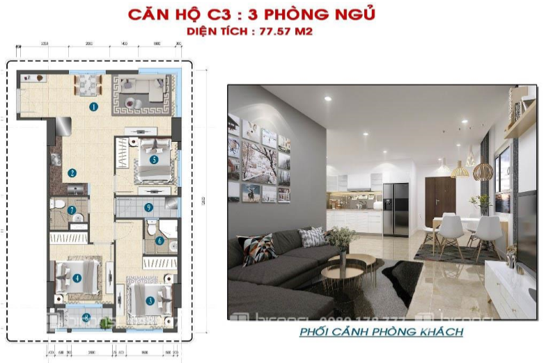 Hình Tin Tức